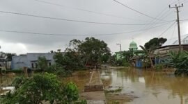 Banjir yang merendam Kecamatan Lambandia, Kabupaten Kolaka Timur, Provinsi Sulawesi Tenggara. (Dok. BPBD Kabupaten Kolaka Timur)