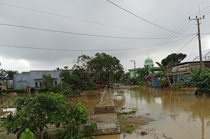 Banjir yang merendam Kecamatan Lambandia, Kabupaten Kolaka Timur, Provinsi Sulawesi Tenggara. (Dok. BPBD Kabupaten Kolaka Timur)
