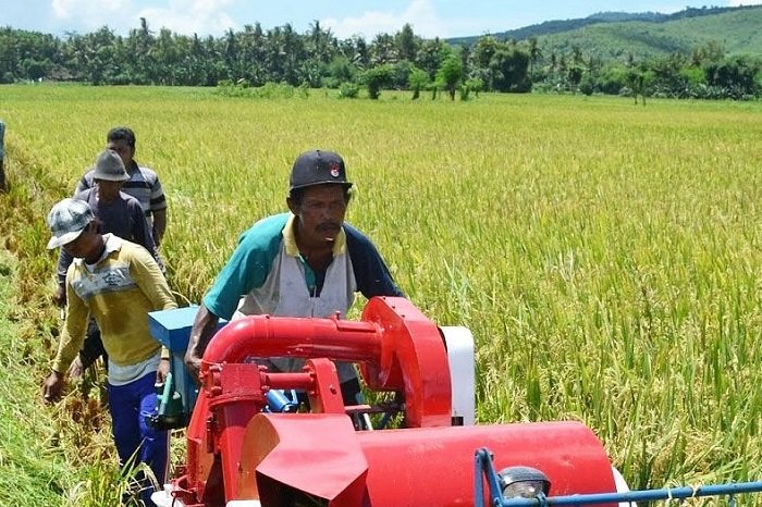 Petani memanen padi di Jawa Tengah—simbol keberhasilan program percepatan tanam yang dongkrak produksi nasional. (Facebook.com @Kementerian Pertanian Republik Indonesia)